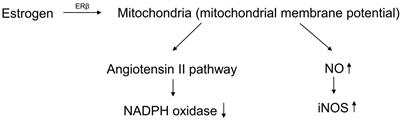 Three Classes of Antioxidant Defense Systems and the Development of Postmenopausal Osteoporosis